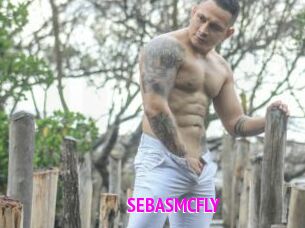 SEBASMCFLY