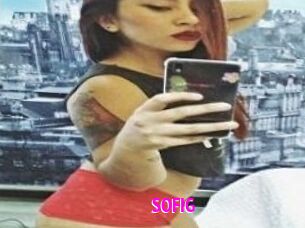 SOFI_G