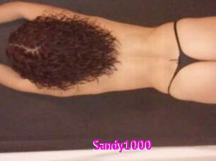 Sandy1000