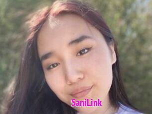 SaniLink