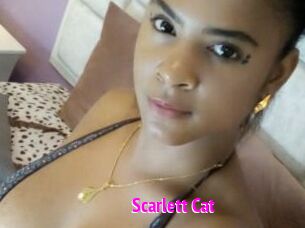 Scarlett_Cat