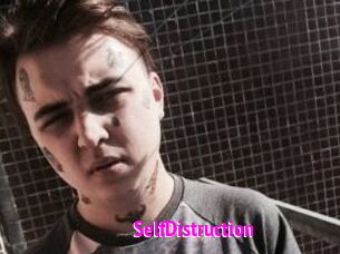 SelfDistruction