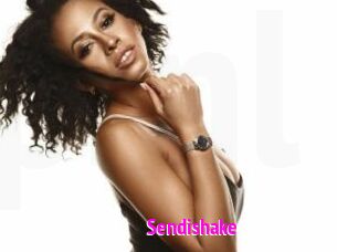 Sendishake