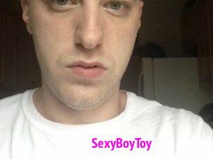 SexyBoyToy