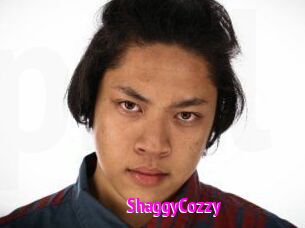 ShaggyCozzy
