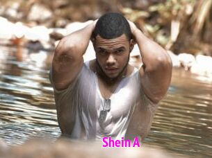 Shein_A