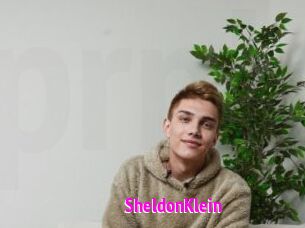 SheldonKlein