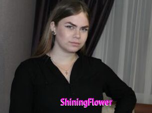 ShiningFlower Porn Loverz