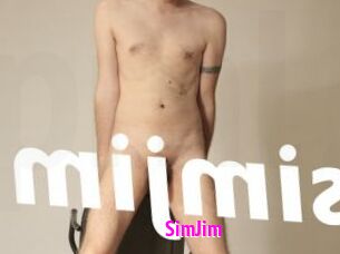 SimJim