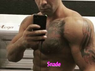 Snade