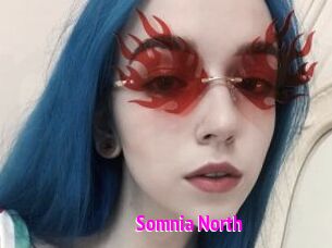 Somnia_North