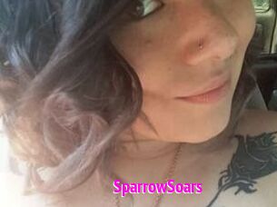 SparrowSoars