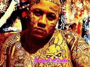 SpiderTheSnake