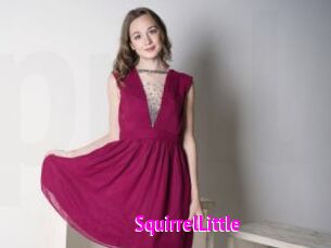 SquirrelLittle