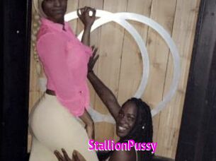 StallionPussy Porn Loverz