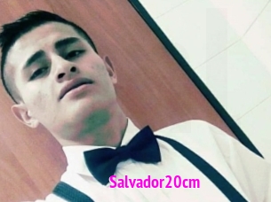 Salvador20cm