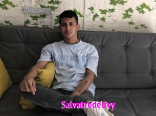 Salvatredelrey