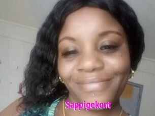 Sappigekont