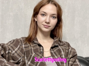 Scarlettgosling