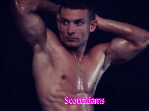 Scottadams
