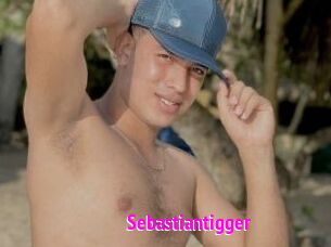 Sebastiantigger