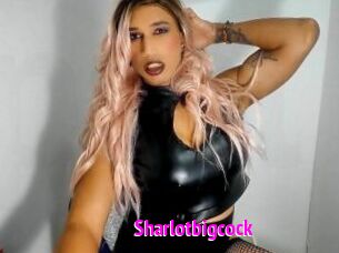 sharlotbigcock Porn Loverz