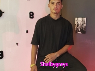 Shelbygreys