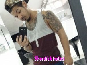 Sherdick_holes