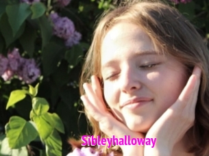 Sibleyhalloway