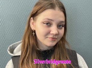 Silverbridgewate