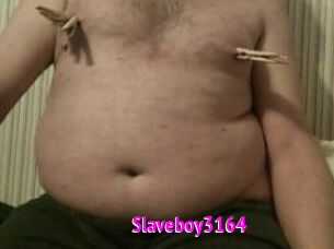 Slaveboy3164