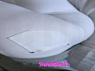 Snowflake21