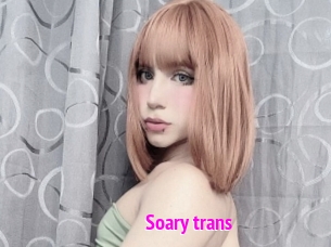 Soary_trans