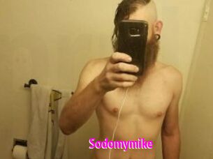 Sodomymike
