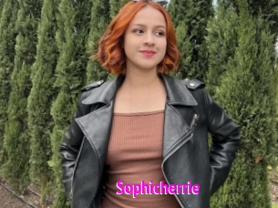 Sophicherrie