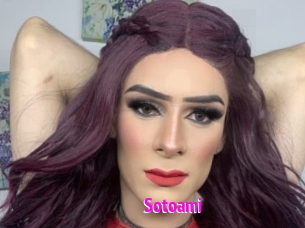 Sotoami