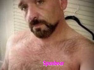 Spunbear