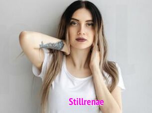 Stillrenae