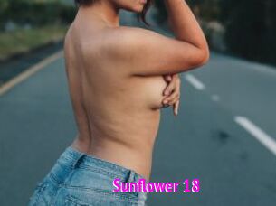 Sunflower_18