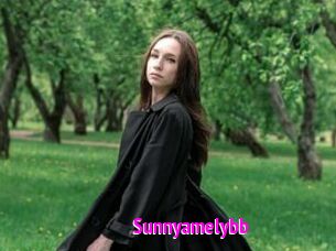 Sunnyamelybb