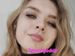 Synnovegledhill