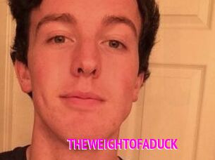 THEWEIGHTOFADUCK