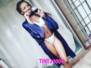 TINY20004