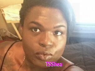TS_Shea