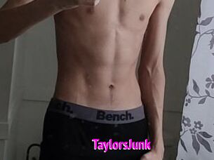 TaylorsJunk