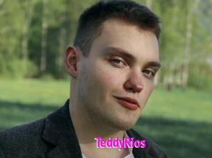 TeddyRios