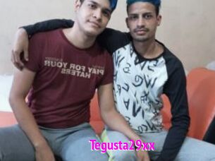 Tegusta29xx