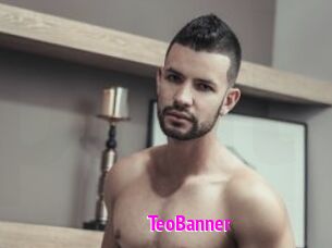 TeoBanner