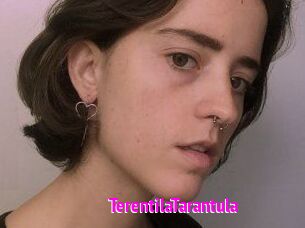 TerentilaTarantula