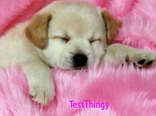 TestThingy